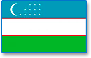 Bandera de Afganistan