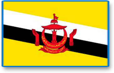 Bandera de Afganistan
